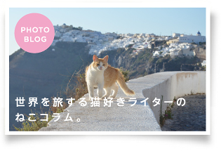 世界を旅する猫好きライターのねこコラム。